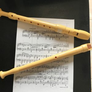 Scopri di più sull'articolo Un flauto sull’orlo di una crisi di nervi