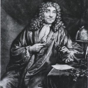 Read more about the article Leeuwenhoek, tra arte e scienza