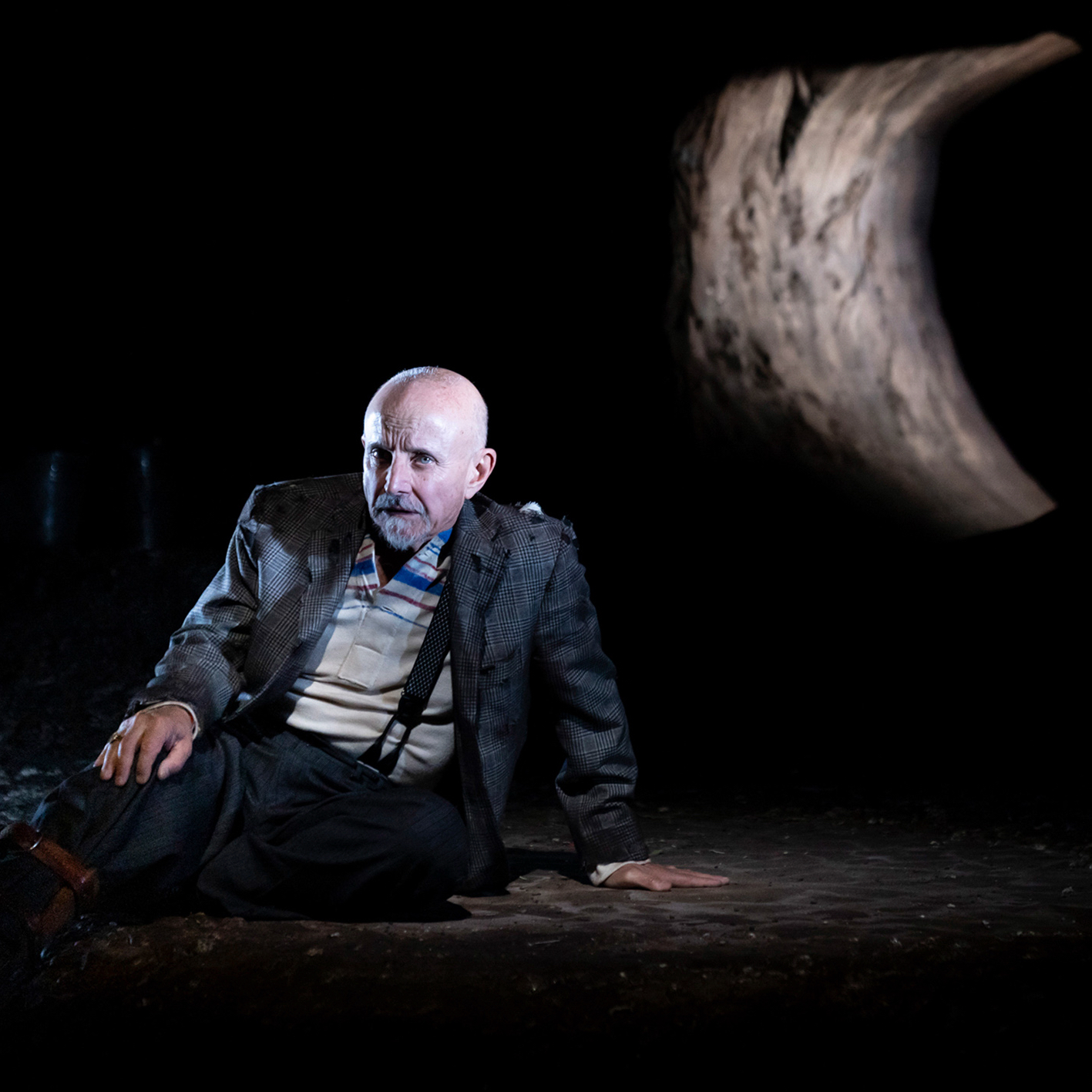 Scopri di più sull'articolo I miei stupidi intenti: verità scomode in una tana crudele